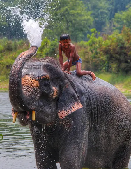 Chitwan National Park